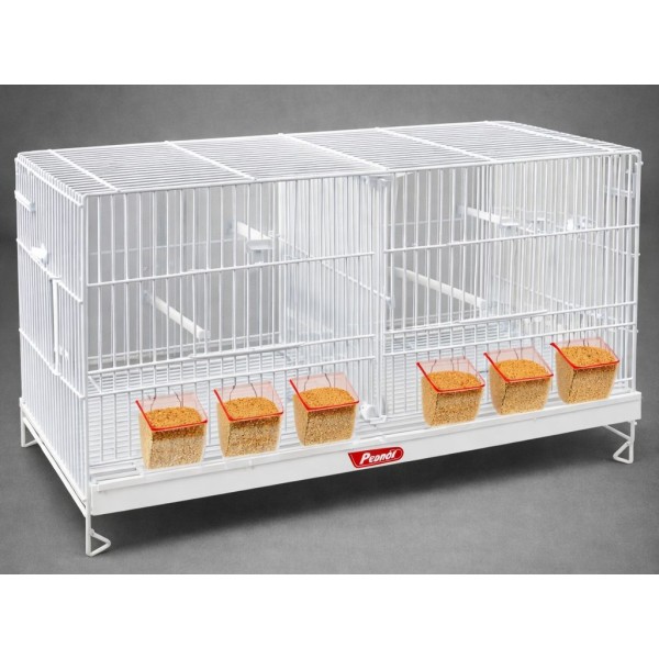 Jaula cria 60 cm PEDROS-BLANCA