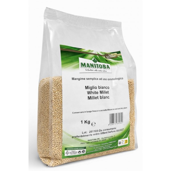 Mijo Blanco Manitoba 1 kg Semillas