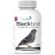 BlackBird | Suplemento para Mejorar la Oxidación y Calidad de Plumaje Negro