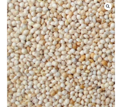 Mijo Blanco Manitoba 1 kg