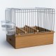 Jaula de canto con rejilla 2GR Art. 020 Breeding cages and exhibition