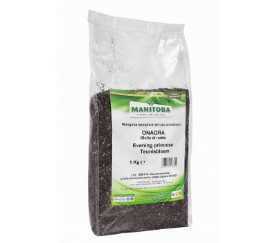 Bella de Noche Manitoba 1 kg