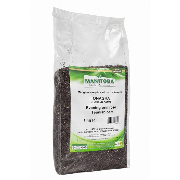 Bella de Noche Manitoba 1 kg Seeds
