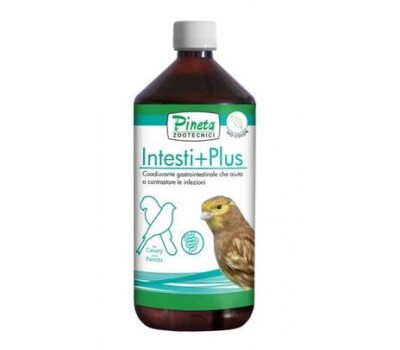Intesti+Plus – Bienestar y Equilibrio Digestivo para aves