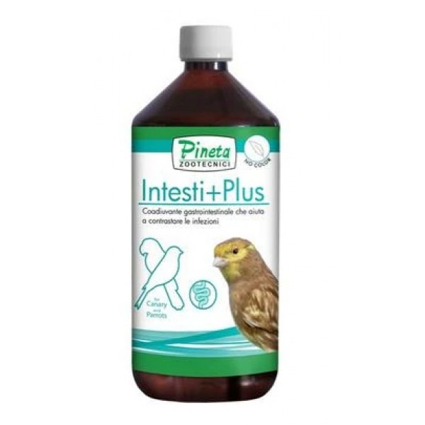 Intesti+Plus – Bienestar y Equilibrio Digestivo para aves Pineta