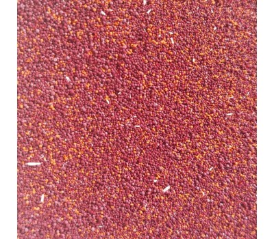 LOR RED PLUS PIGMENTANTE ROJO