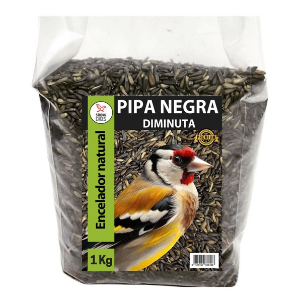 Pipa Negra Diminuta 1 Kg | StrongCages Seeds