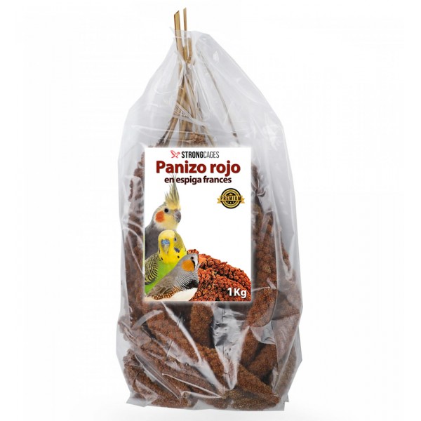 Panizo espiga rojo francés Seeds Panizo espiga rojo francés Seeds
