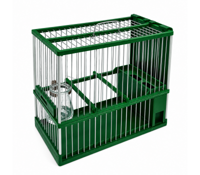 Conjunto C-2 Verde