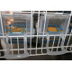 Comedero Lucia Moldes ave Feeders Comedero Lucia Moldes ave Feeders