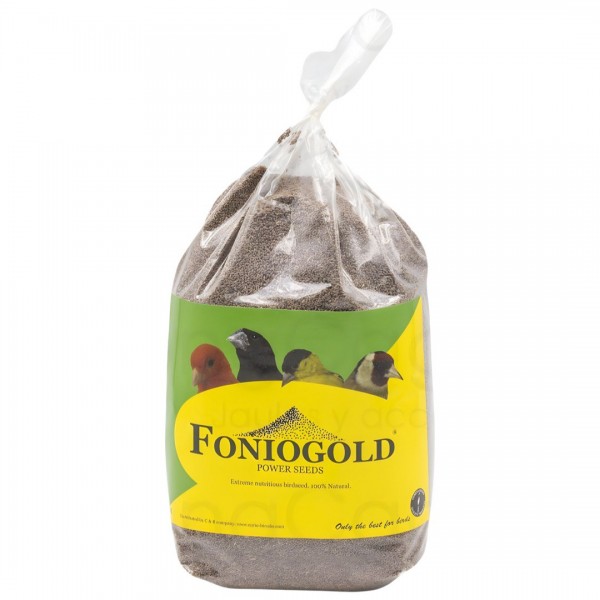 Fonio gold - coccidiosis Seeds