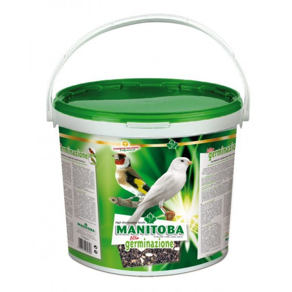 Semilla Alta Germinación 7,5 kg MANITOBA Semillas Semilla Alta Germinación 7,5 kg MANITOBA Semillas