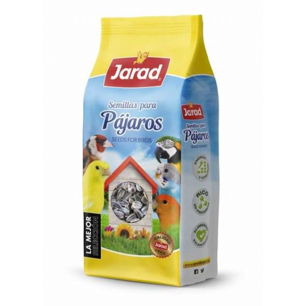 Pipa Iregui de Jarad 3 kg Seeds