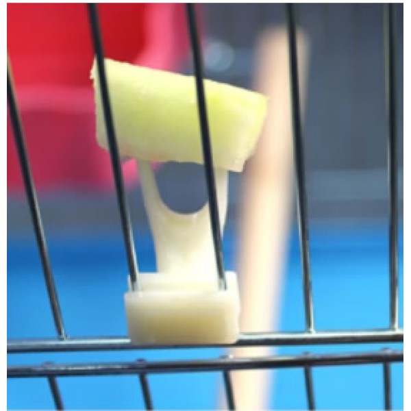 Soporte para fruta de plastico Comederos Soporte para fruta de plastico Comederos