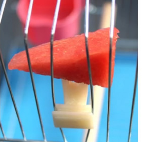 Soporte para fruta de plastico Comederos Soporte para fruta de plastico Comederos