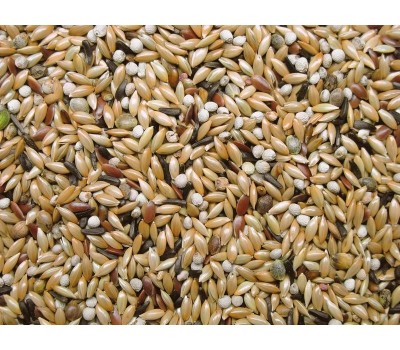 Mixtura Premifood Canario Energy jarad