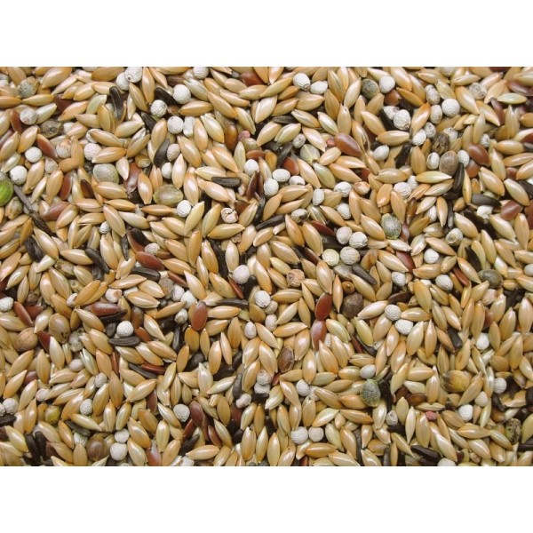Mixtura Premifood Canario Energy jarad jarad Comida para canarios