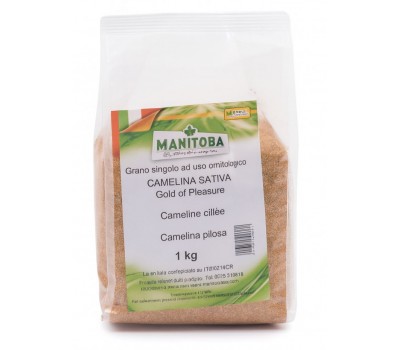 Camelina Sativa (Manitoba) 1 kg.