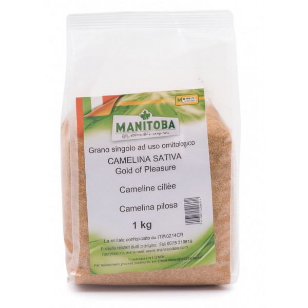 Camelina Sativa (Manitoba) 1kg. Seeds Camelina Sativa (Manitoba) 1kg. Seeds
