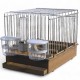 Cage singing 2GR Breeding cages and exhibition Cage singing 2GR Breeding cages and exhibition