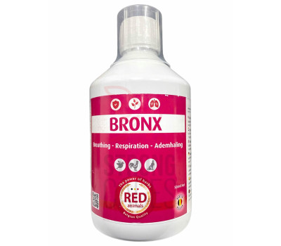 Bronx (vias respiratorias)