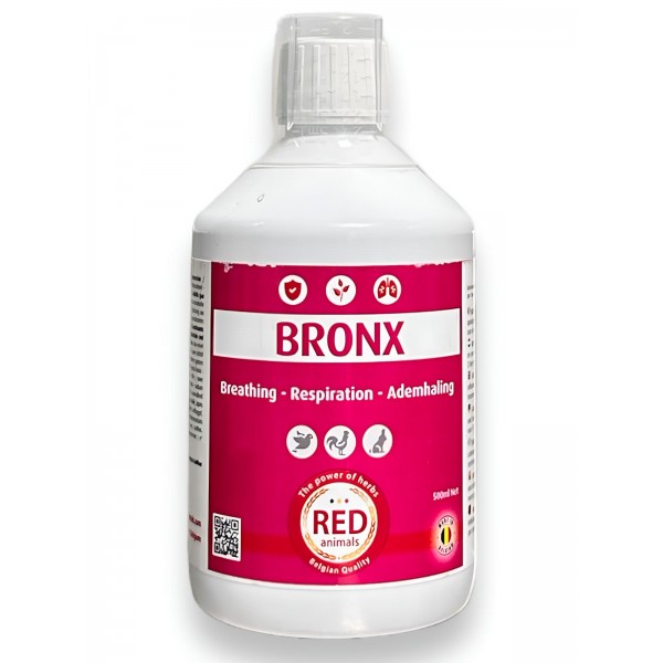 Bronx (vias respiratorias) Red Pigeon