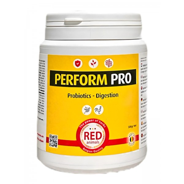 Perform Pro 500 grs (Inmunidad y Digestión) Red Pigeon Perform Pro 500 grs (Inmunidad y Digestión) Red Pigeon