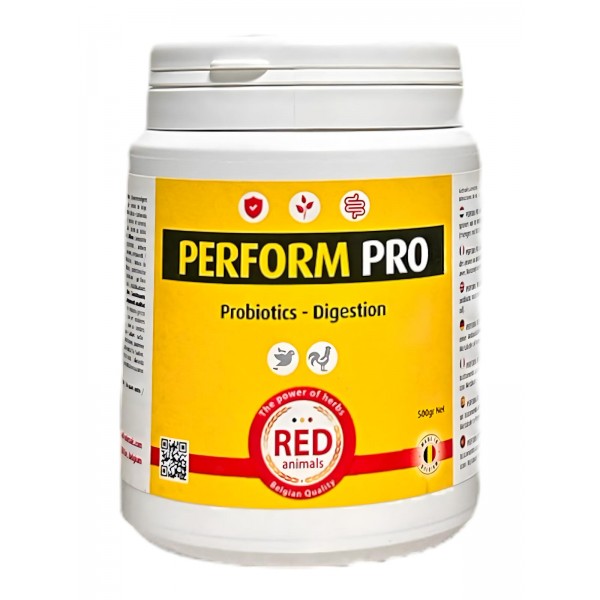 Perform Pro 500 grs Red Pigeon