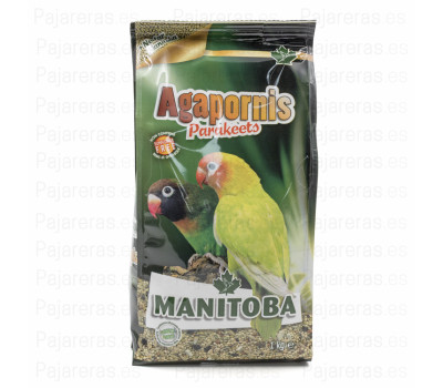 Mxt. Agapornis 