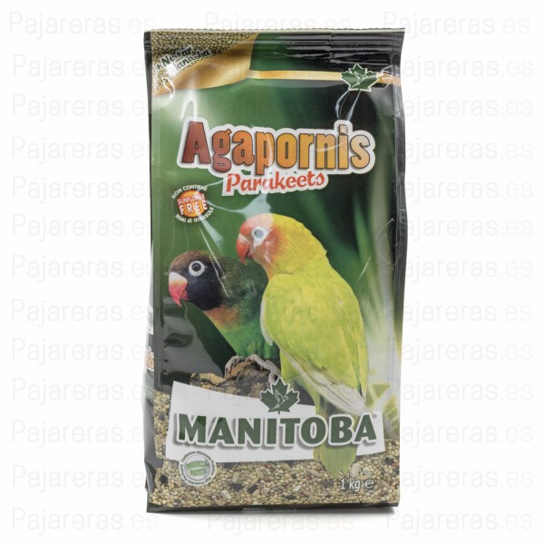 Mxt. Agapornis Mxt. Agapornis
