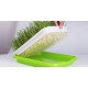Bandeja de germinación artificial de semillas Canarios Accesorios para aviarios Bandeja de germinación artificial de semillas Canarios Accesorios para aviarios