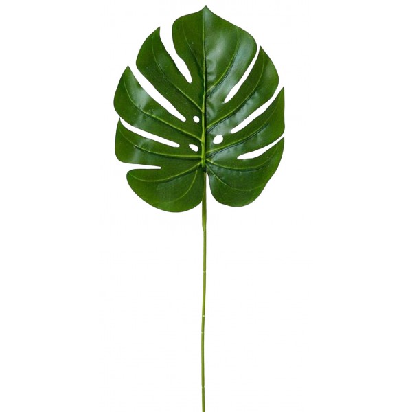 Hoja de Palma para decoración de aviario Nests and accessories for the nest Hoja de Palma para decoración de aviario Nests and accessories for the nest