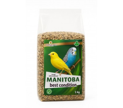  Best Condition Semillas de la Salud (Manitoba) 1 kg