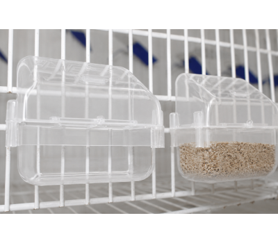 Comedero Marta Moldes ave transparente