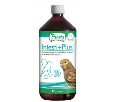 Intesti+Plus – Bienestar y Equilibrio Digestivo para aves