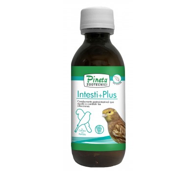 Intesti+Plus – Bienestar y Equilibrio Digestivo para aves