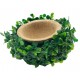 Nido camuflaje para jilgueros Nests and accessories for the nest Nido camuflaje para jilgueros Nests and accessories for the nest