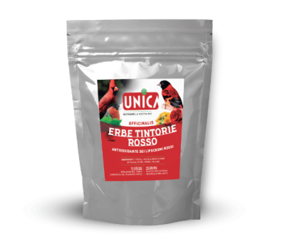 Officinalis Herbe Tintorie 75 grs UNICA