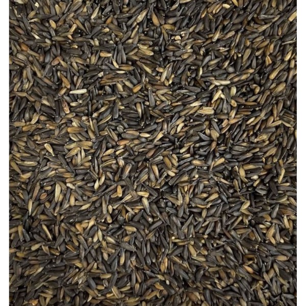 Pipa diminuta de girasol 1,5 Kg | StrongCages Seeds