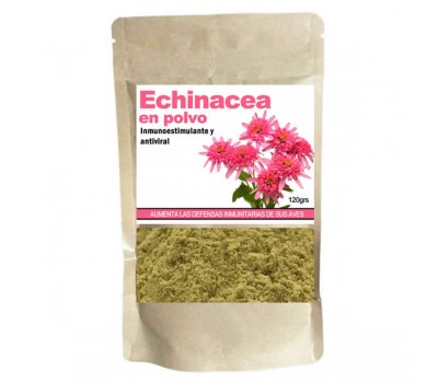 Echinacea en polvo (promueve las defensas inmunitarias)