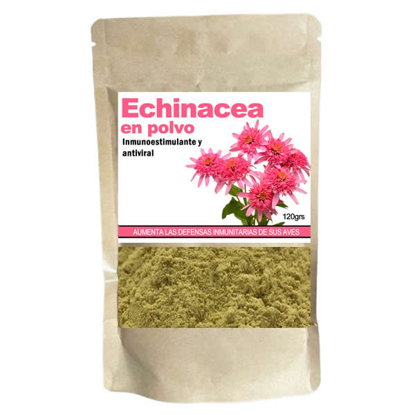 Echinacea en polvo (promueve las defensas inmunitarias) Complejos vitaminicos 