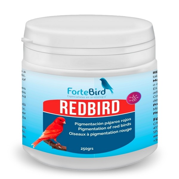 RedBird | Pigmentación pájaros rojos Bird coloring RedBird | Pigmentación pájaros rojos Bird coloring
