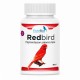 RedBird | Pigmentación pájaros rojos Colorante aves