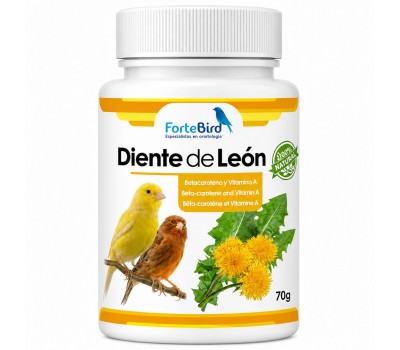 Diente de León | Betacaroteno y Vitamina A