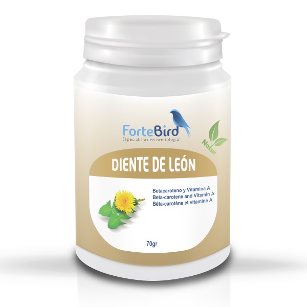 Diente de León | Betacaroteno y Vitamina A Diente de León | Betacaroteno y Vitamina A