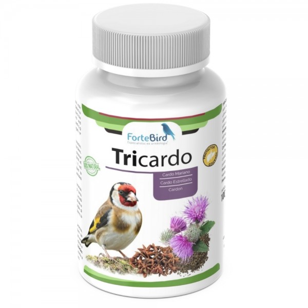 Tricardo (Cardo Mariano / Cardón / Cardo Estrellado) Excelente Protector Hepático Tricardo (Cardo Mariano / Cardón / Cardo Estrellado) Excelente Protector Hepático