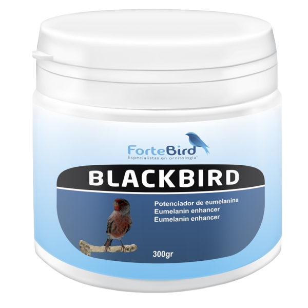 BlackBird | Potenciador de eumelaninas