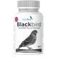 BlackBird | Suplemento para Mejorar la Oxidación y Calidad de Plumaje Negro