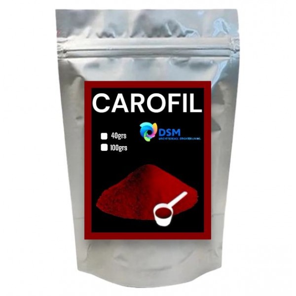 Carofil Rojo StrongCages Bird coloring Carofil Rojo StrongCages Bird coloring