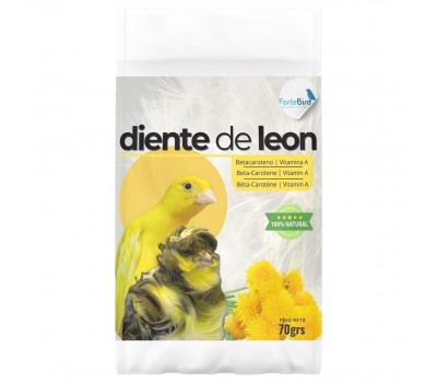 Diente de León | Betacaroteno y Vitamina A